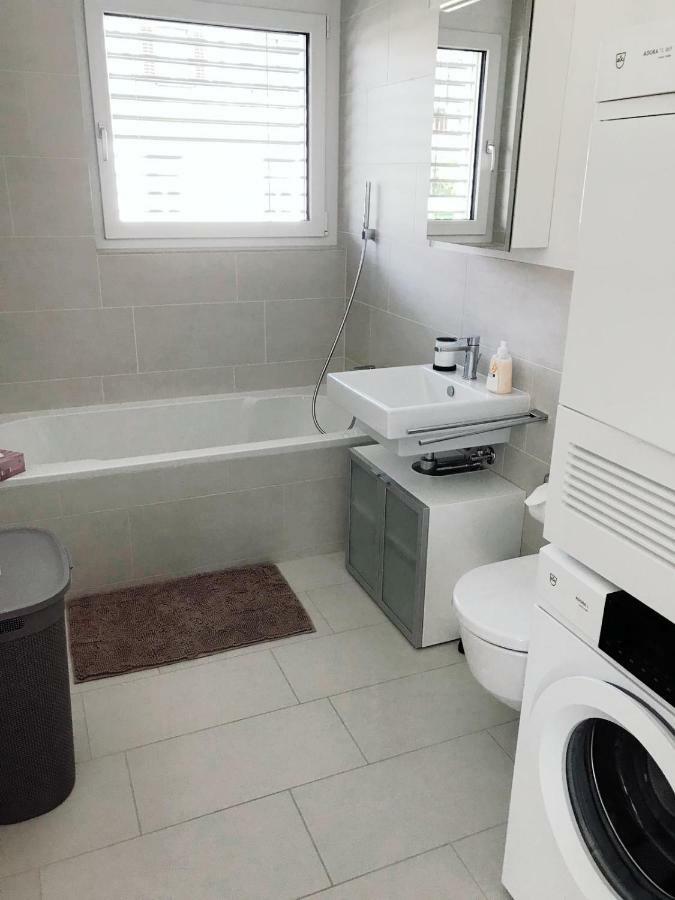 Easy-Living Apartments Dietwil 외부 사진